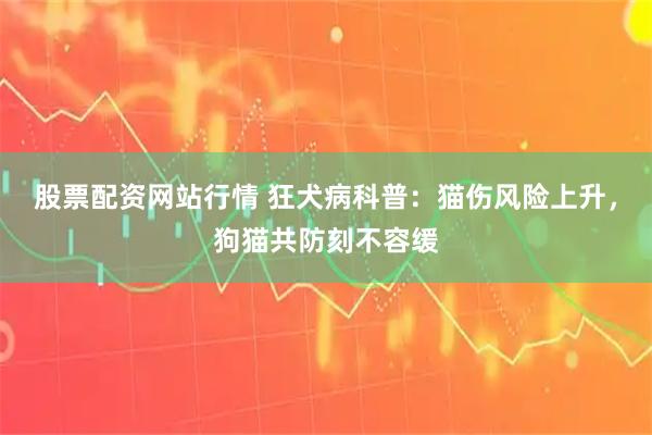 股票配资网站行情 狂犬病科普：猫伤风险上升，狗猫共防刻不容缓