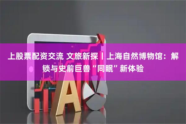 上股票配资交流 文旅新探丨上海自然博物馆：解锁与史前巨兽“同眠”新体验