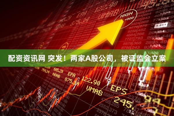 配资资讯网 突发！两家A股公司，被证监会立案